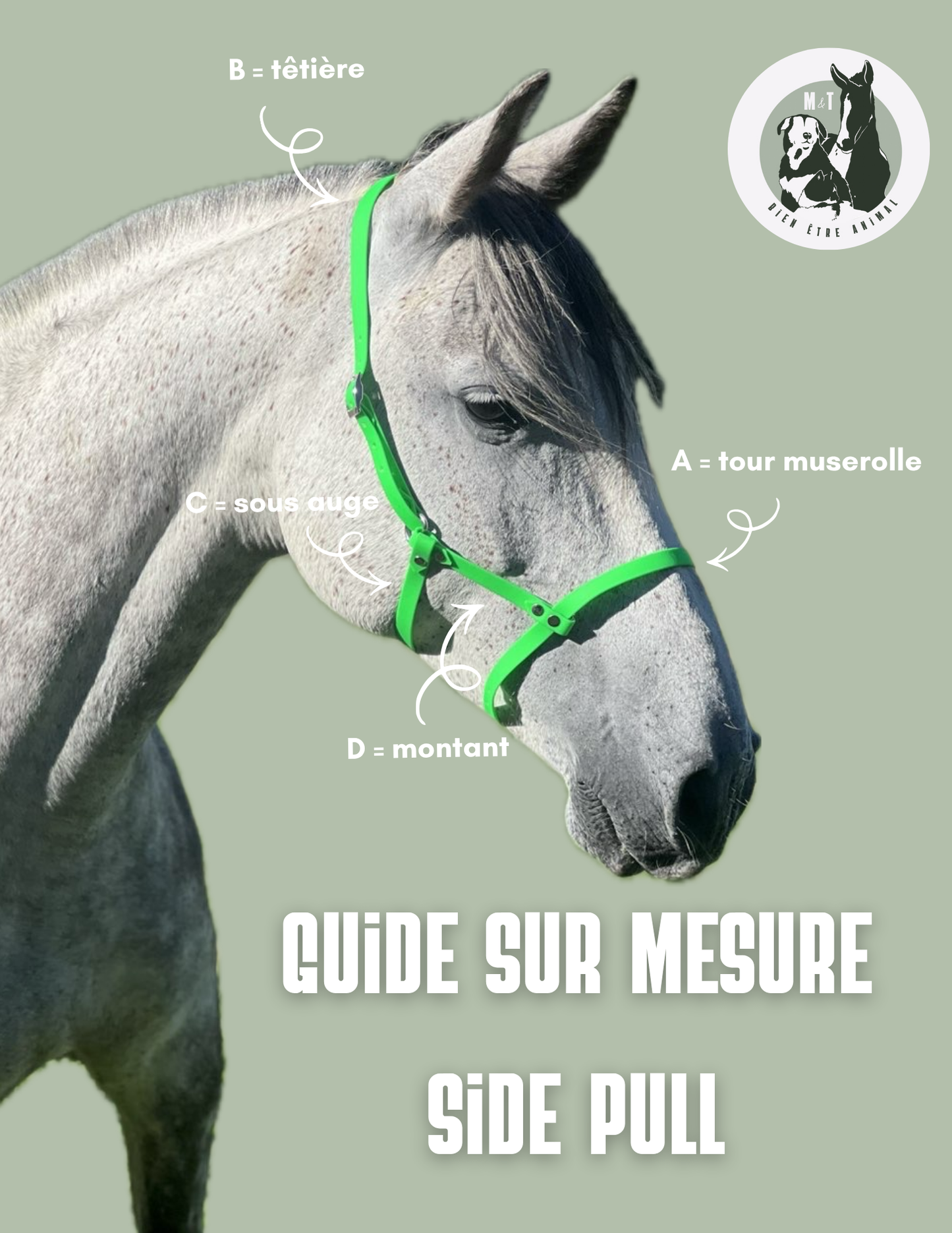 Side pull Caspienne ( double tressage )