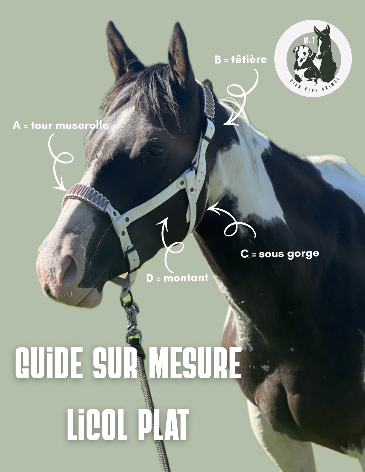 Licol Get (bicolore 19mm)