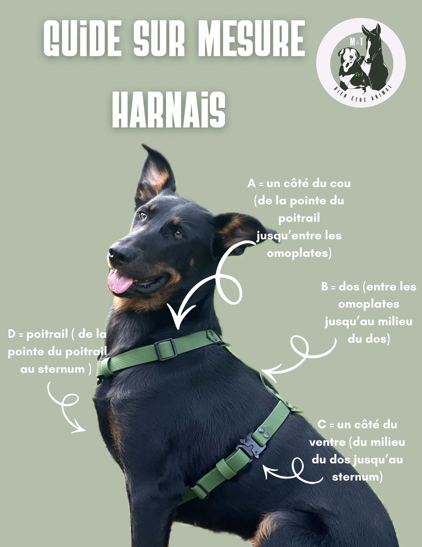 Harnais kida ( boucles plastiques )