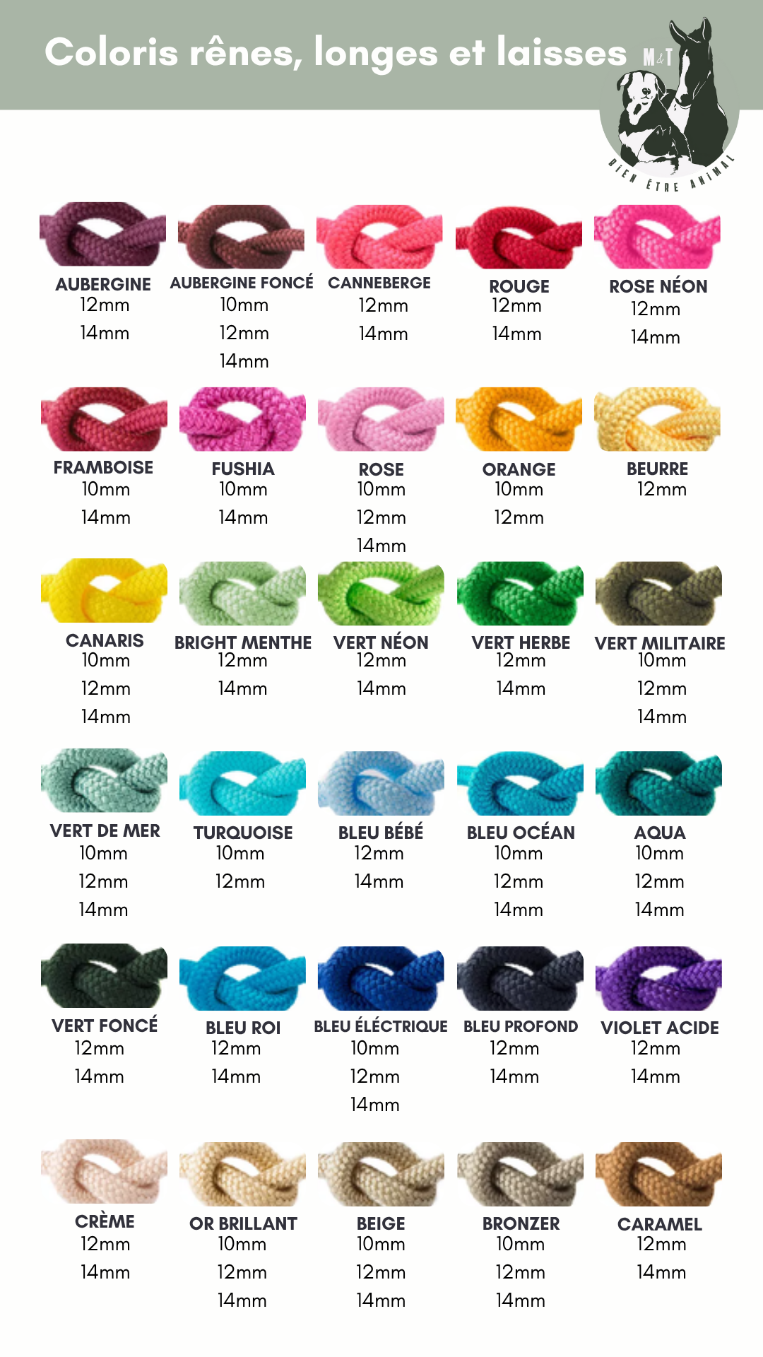 Laisse 3 points Vaïa (en corde)