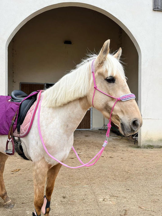 Rênes rondes en corde