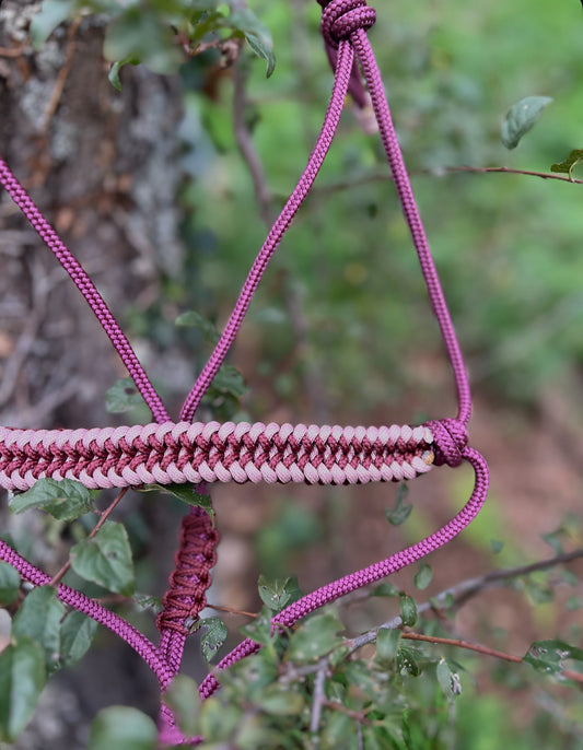 Licol taille petit COB