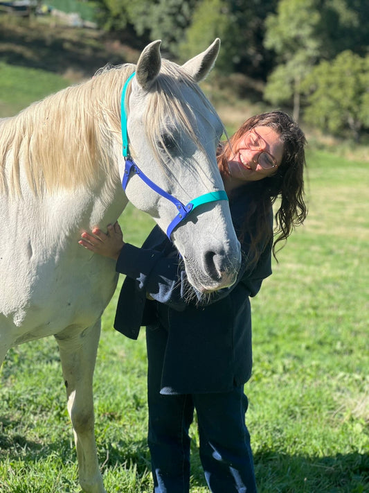 Licol Limao (bicolore 19-25mm)