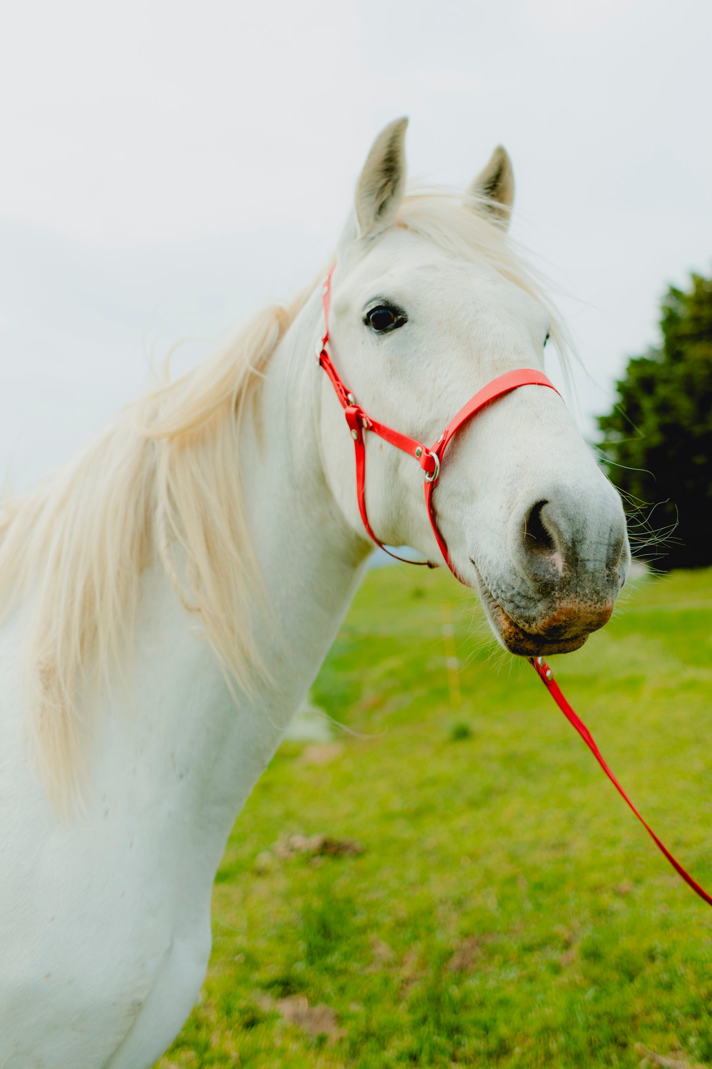 Side pull Jum (16 - 25mm)