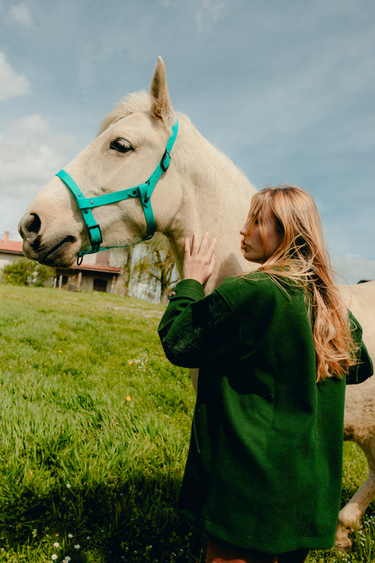 Licol Violine (25mm)