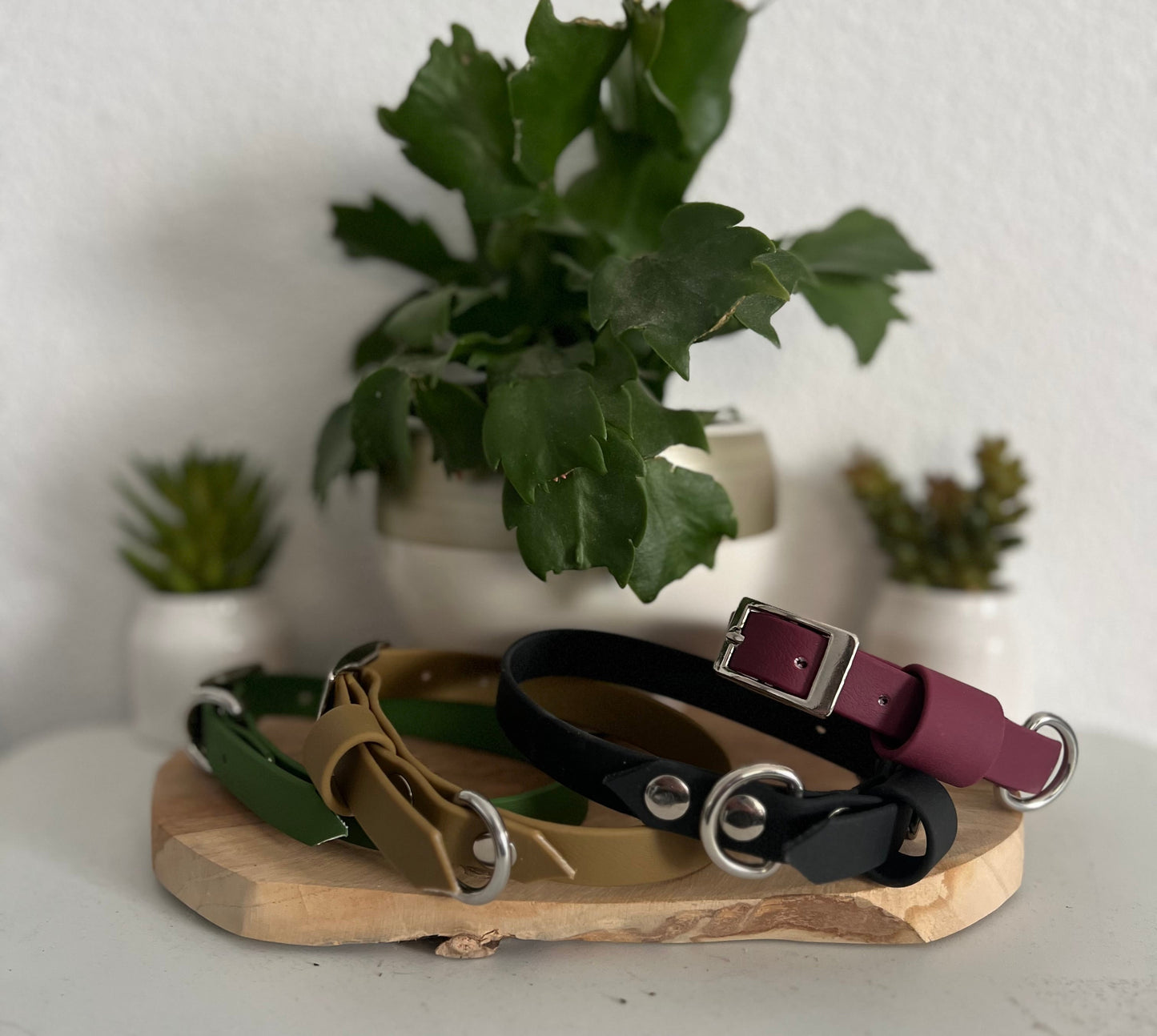 Collier Cody (16 mm)