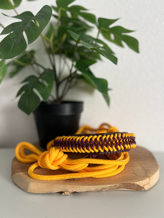 Licol corde Diamant - Cheval