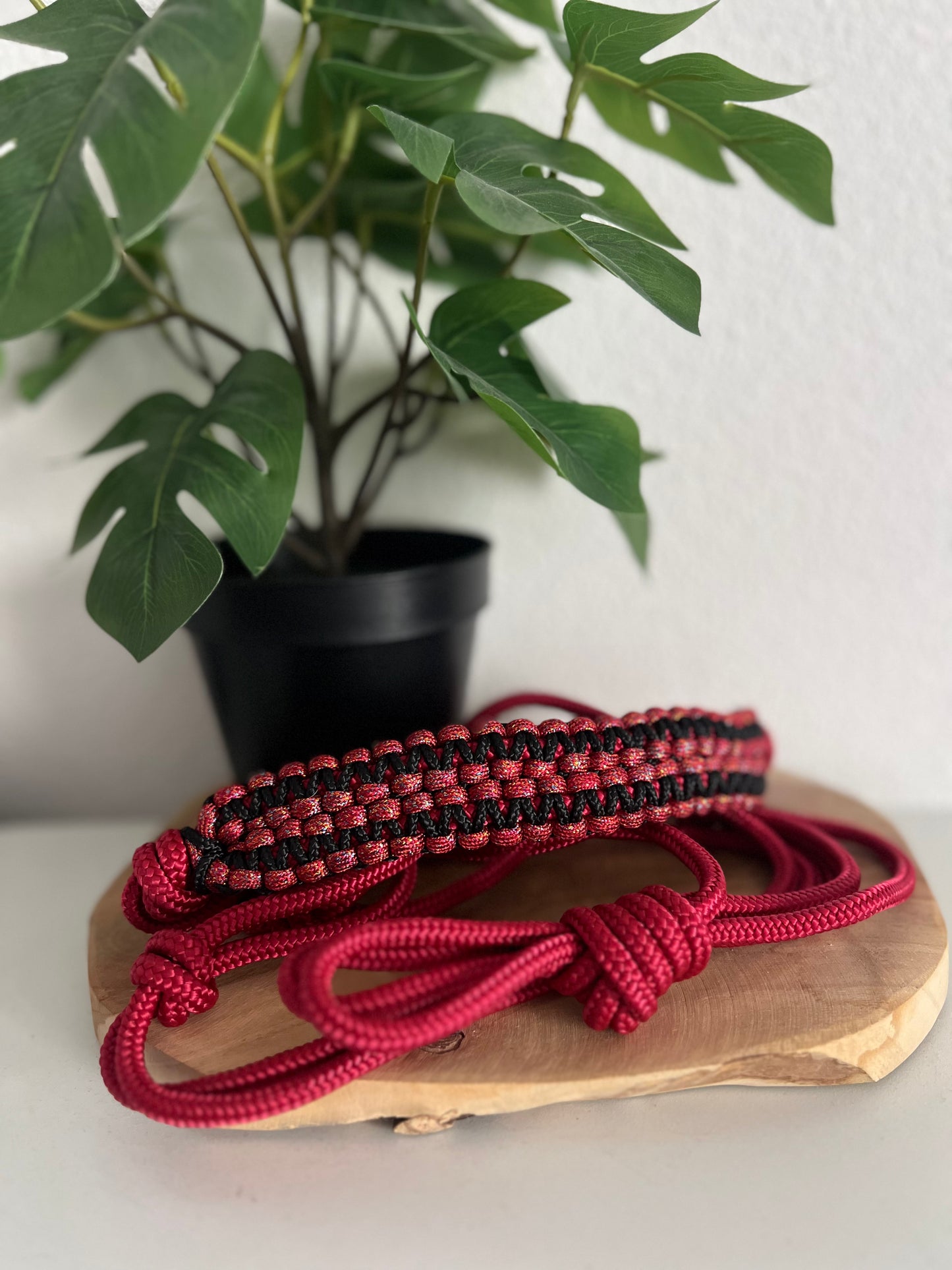 Licol corde Horius - Cheval