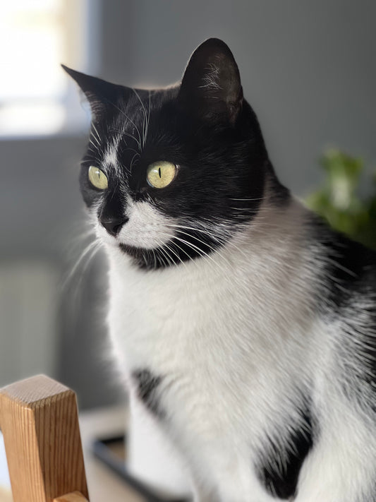 Communication groupée